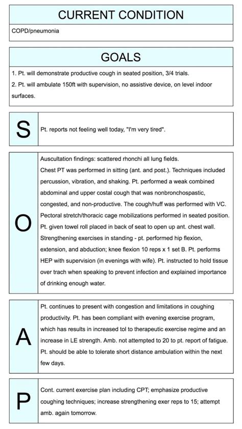 ems soap report template